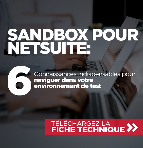 NetSuite Sandbox Data Sheet