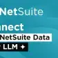 Connect Your NetSuite Data to Any LLM for AI-Driven Analytics