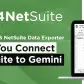 How GURUS NetSuite Data Exporter Lets You Connect NetSuite to Gemini 