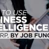 Business Intelligence by Job Function