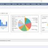 Embed Reports in NetSuite